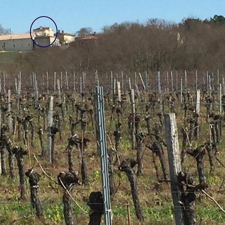 Superbe Gite A La Campagne Dans Le Bordelais Saint-Vivien-de-Blaye Exteriör bild